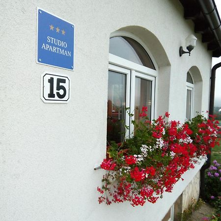 Apartments Zegarac House Korenica Esterno foto